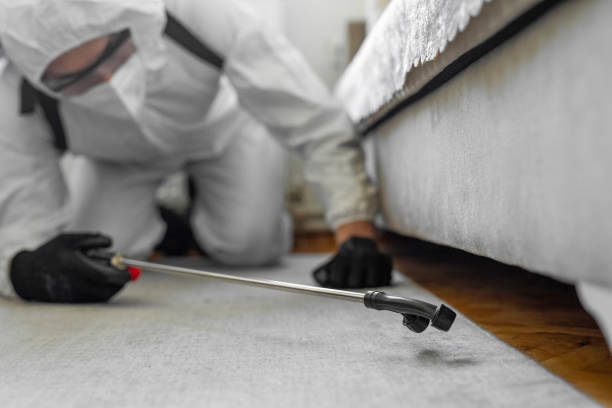 Professional Ant Control technician working in Balcones Heights, TX
